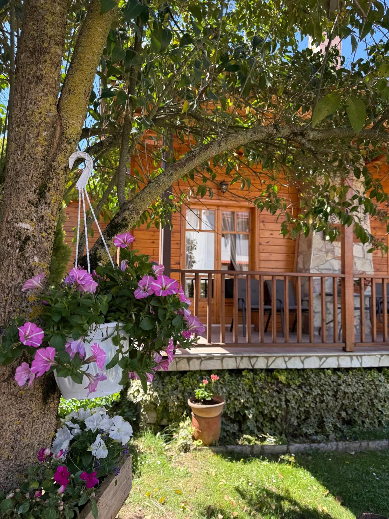 קלבריטה Xylino Chalet מראה חיצוני תמונה